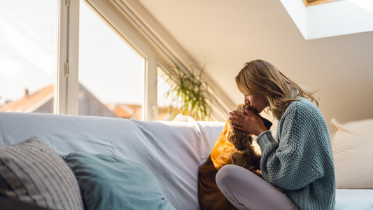 How Aromatherapy Can Comfort Pets During End-of-Life Stages